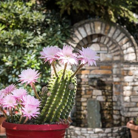 Elatos Country House Bed & Breakfast Portariá Dış mekan fotoğraf